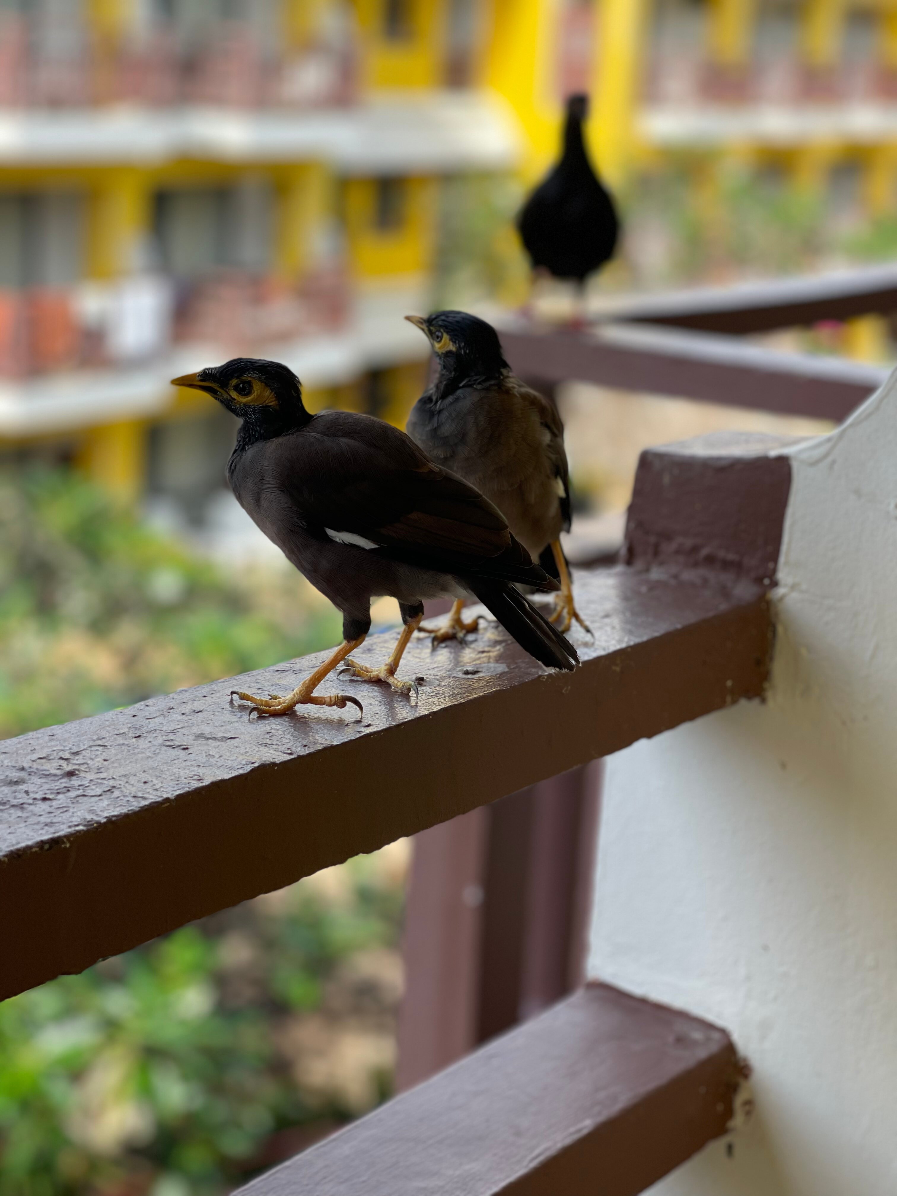 Фото Woraburi Phuket Resort and Spa