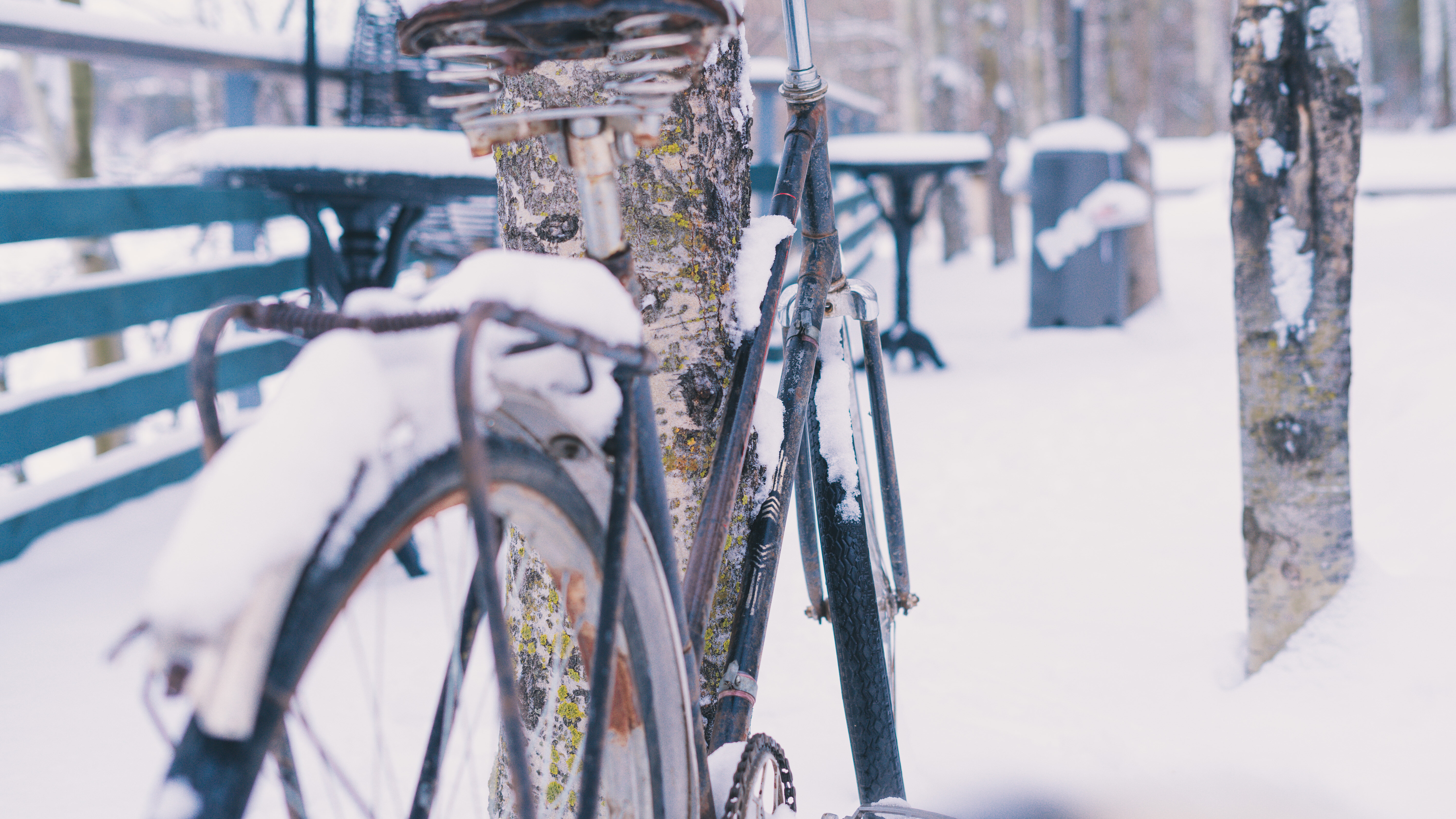 Фото Слобода