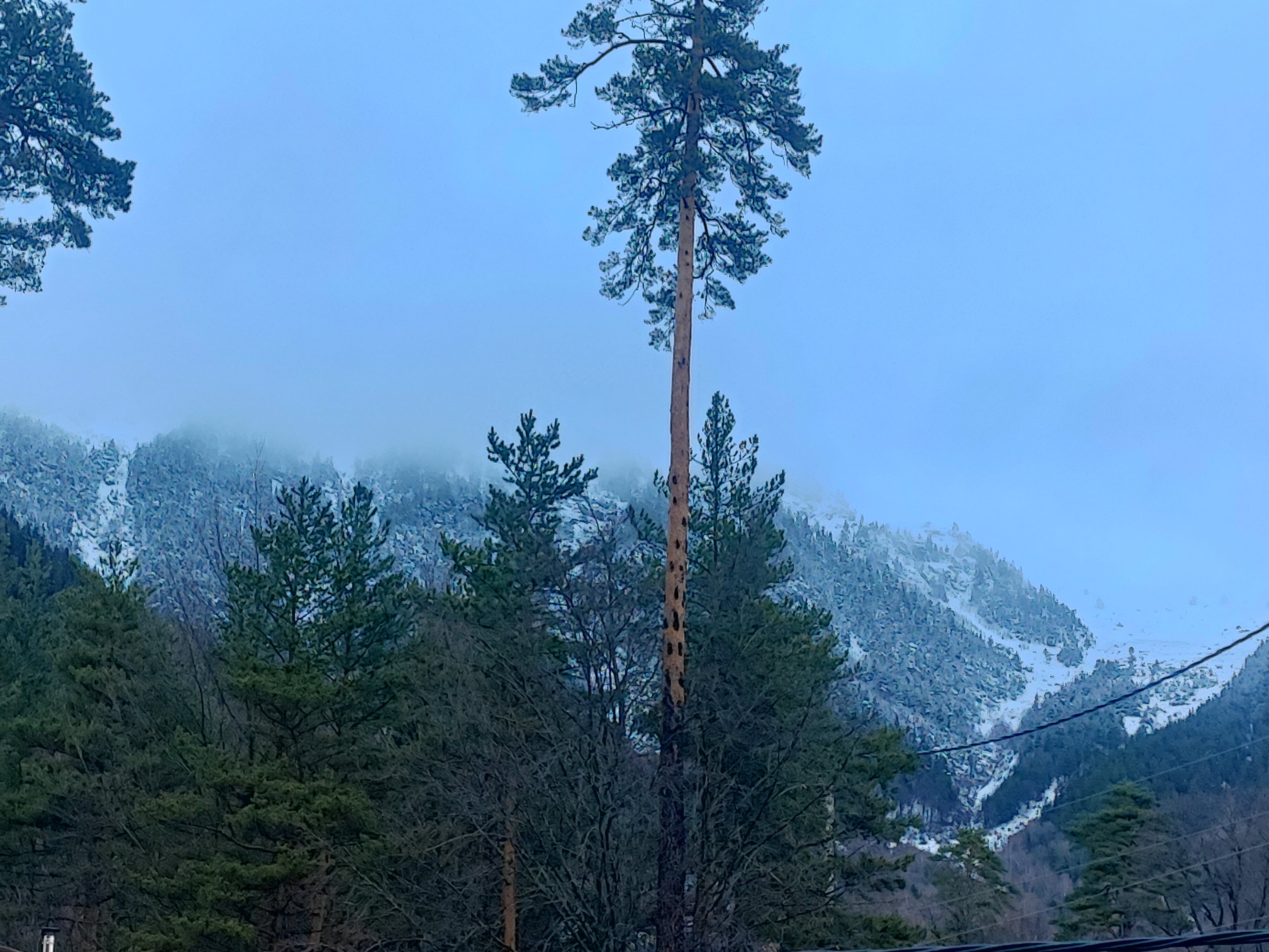 Фото Медвежий угол