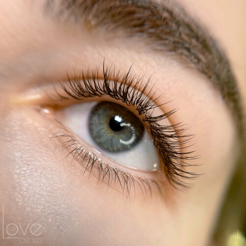 Love My Lashes 3 1 2