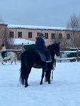 Светлые горы (10П, посёлок Светлые Горы), конный клуб в Москве и Московской области