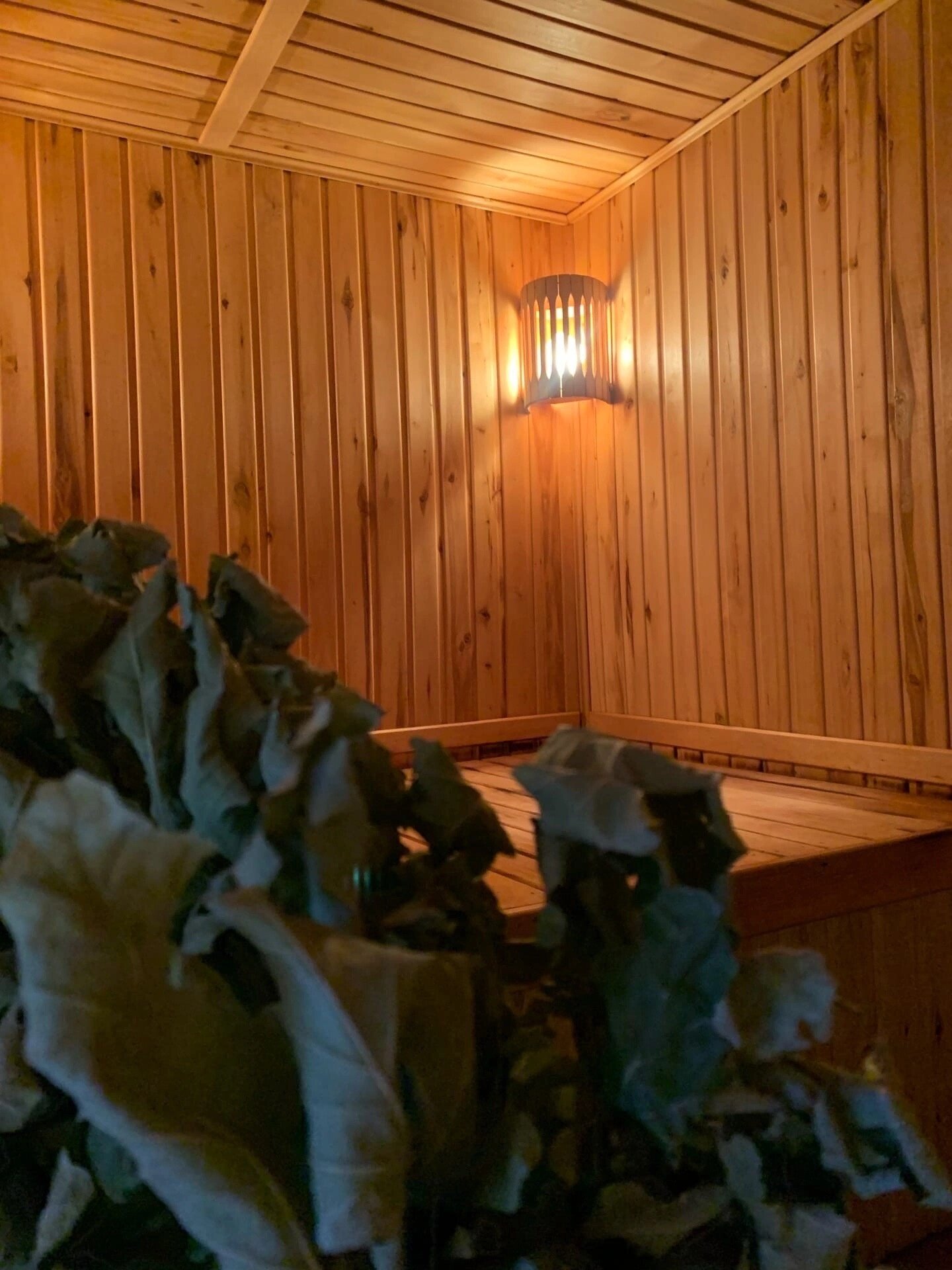 Фото Гнездо