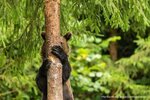 Zoo corner (5th Donskoy Drive, 21Ас3), zoo