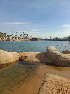 Main beach bar (جنوب سيناء, شرم الشيخ, Domina Coral Bay) ، حانة، بار