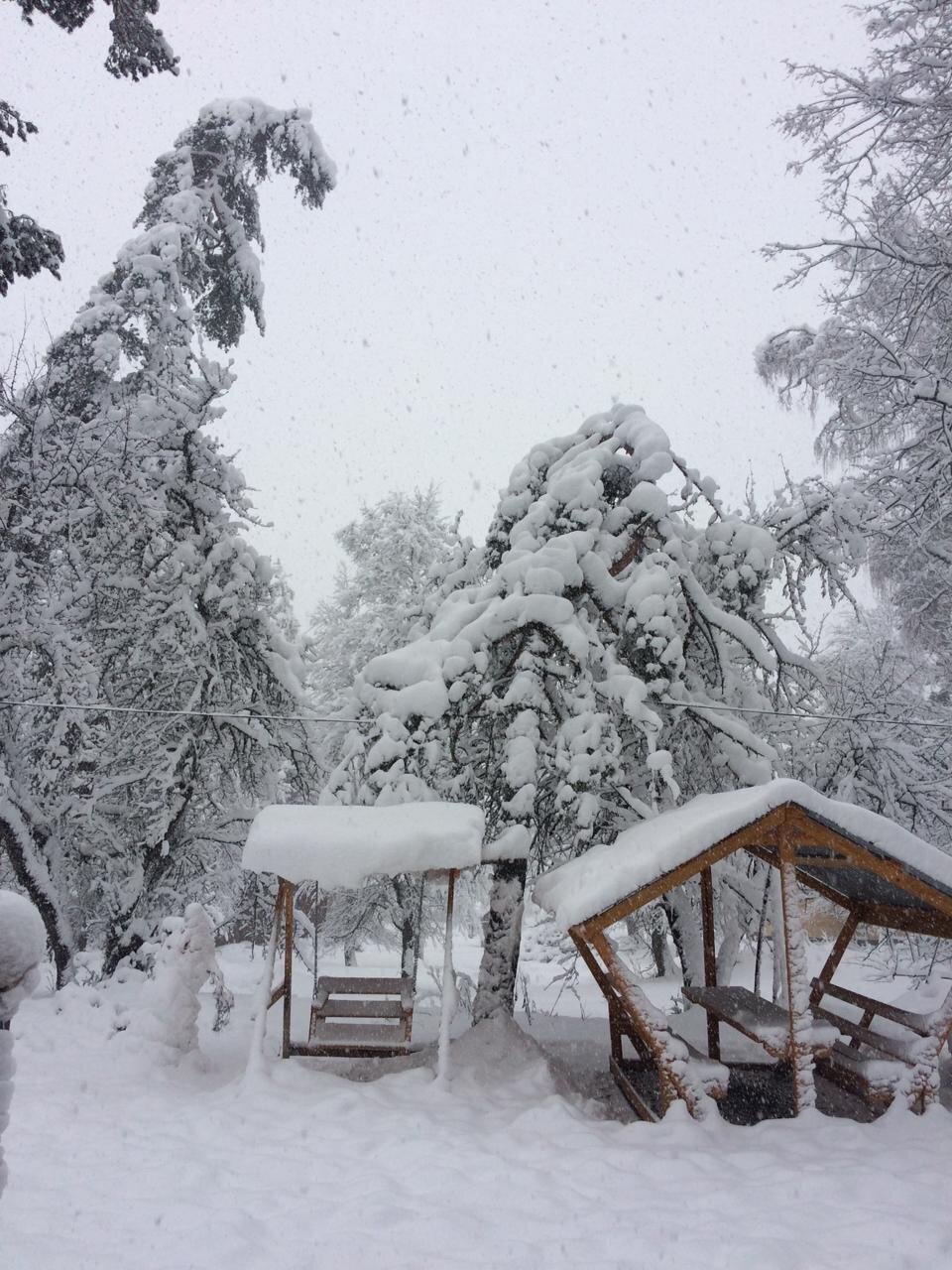 Фото Тайга House