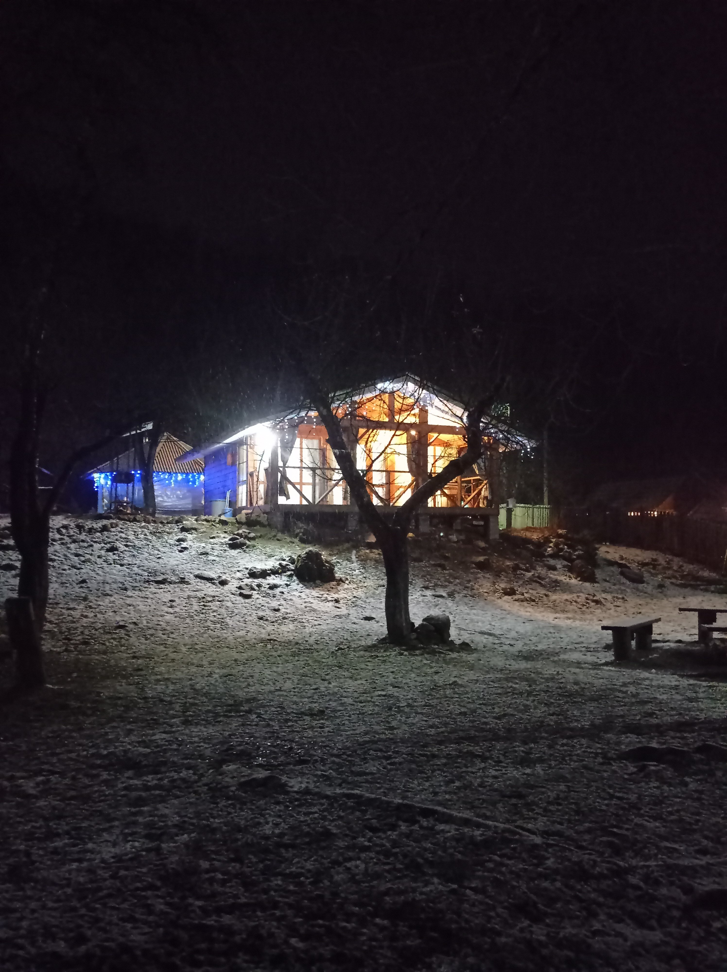 Фото Лесной