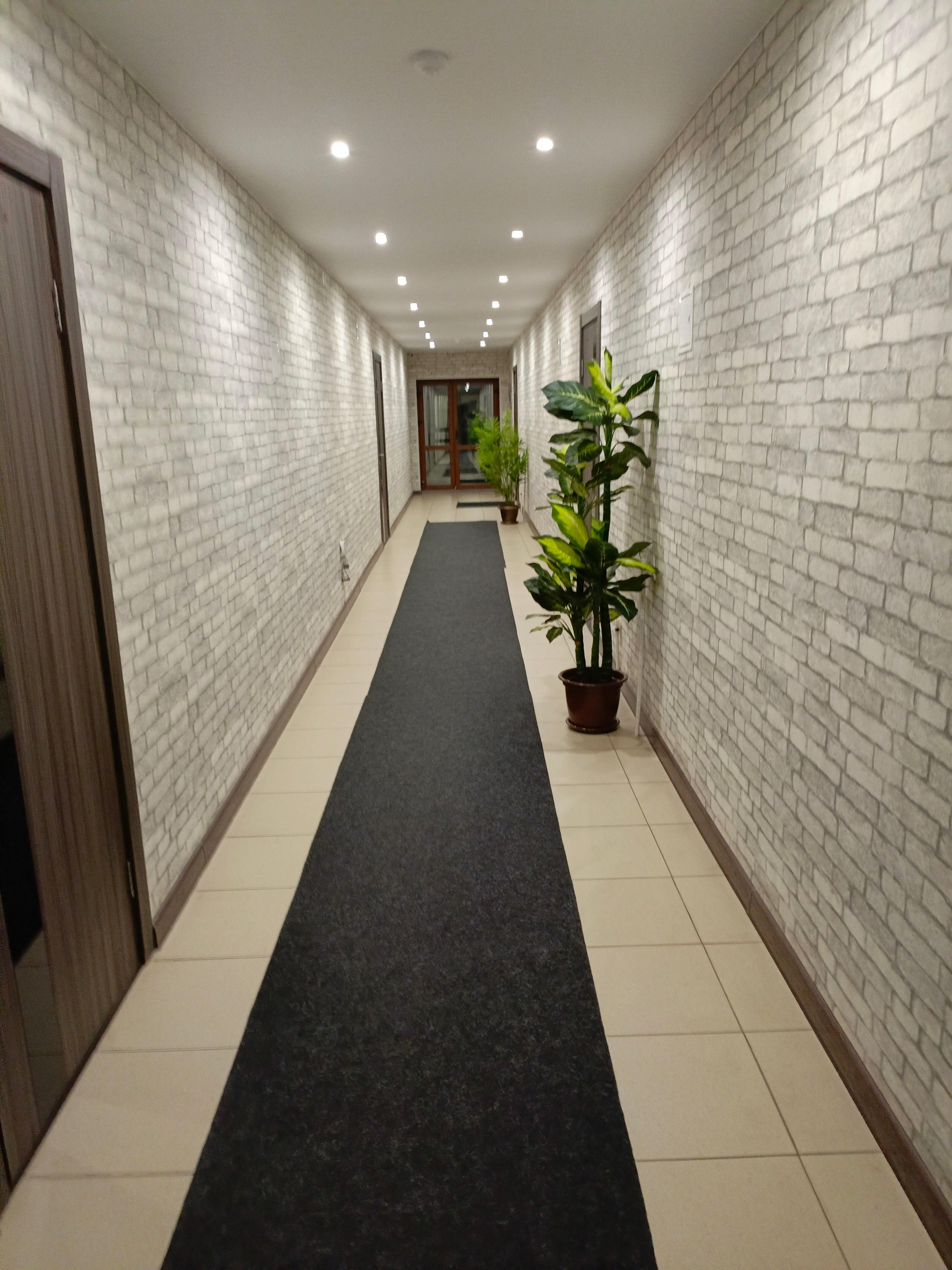 Фото Эдельвейс