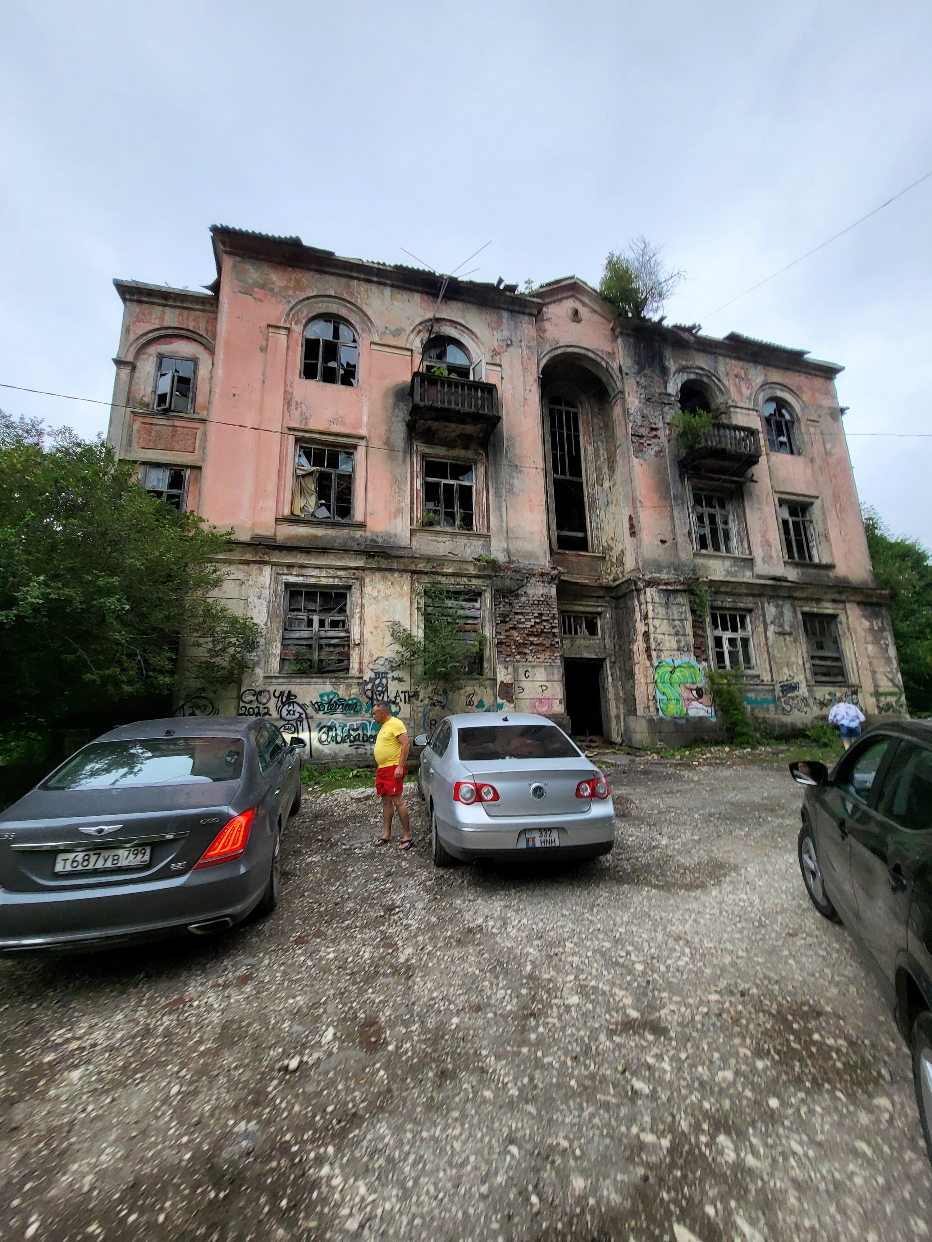 Фото Эвкалиптовая роща