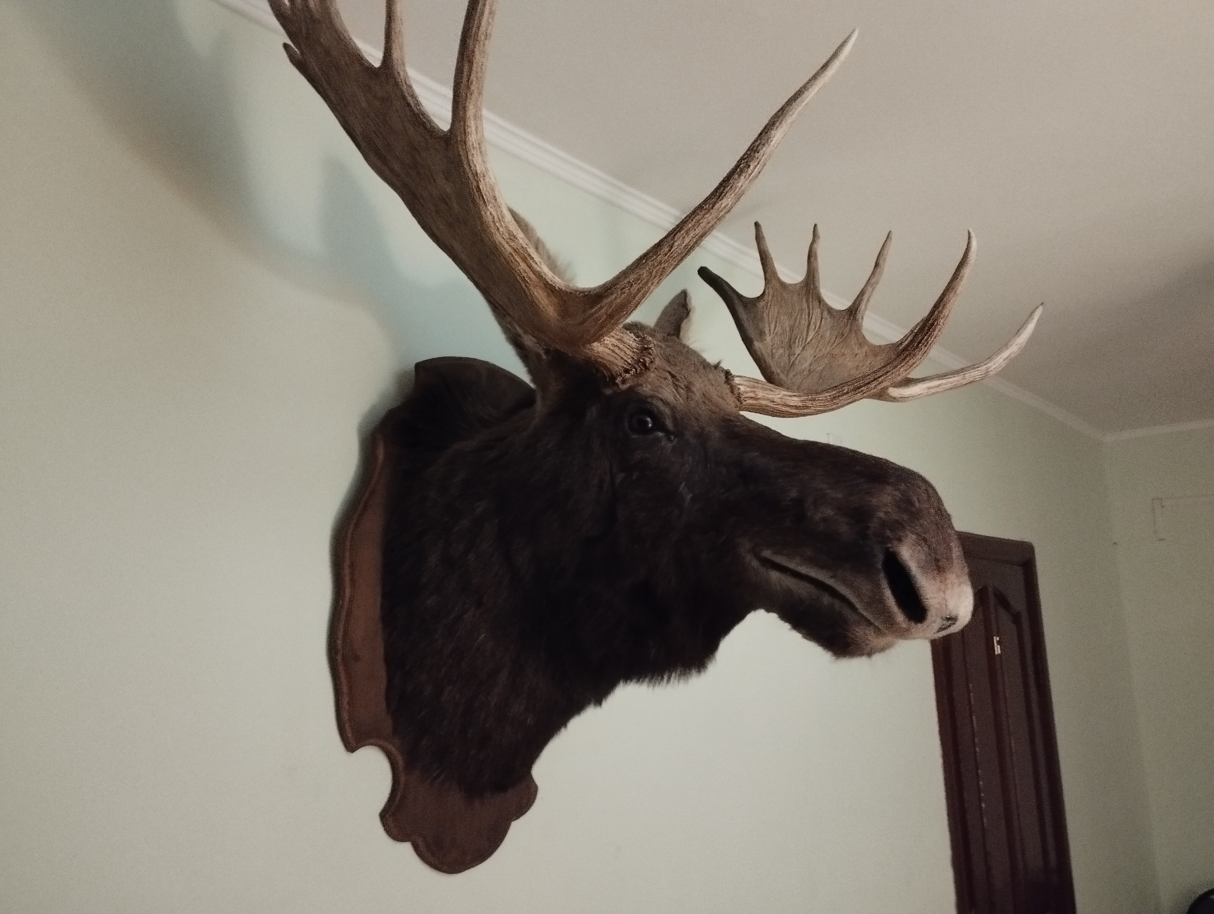 Фото Три охотника