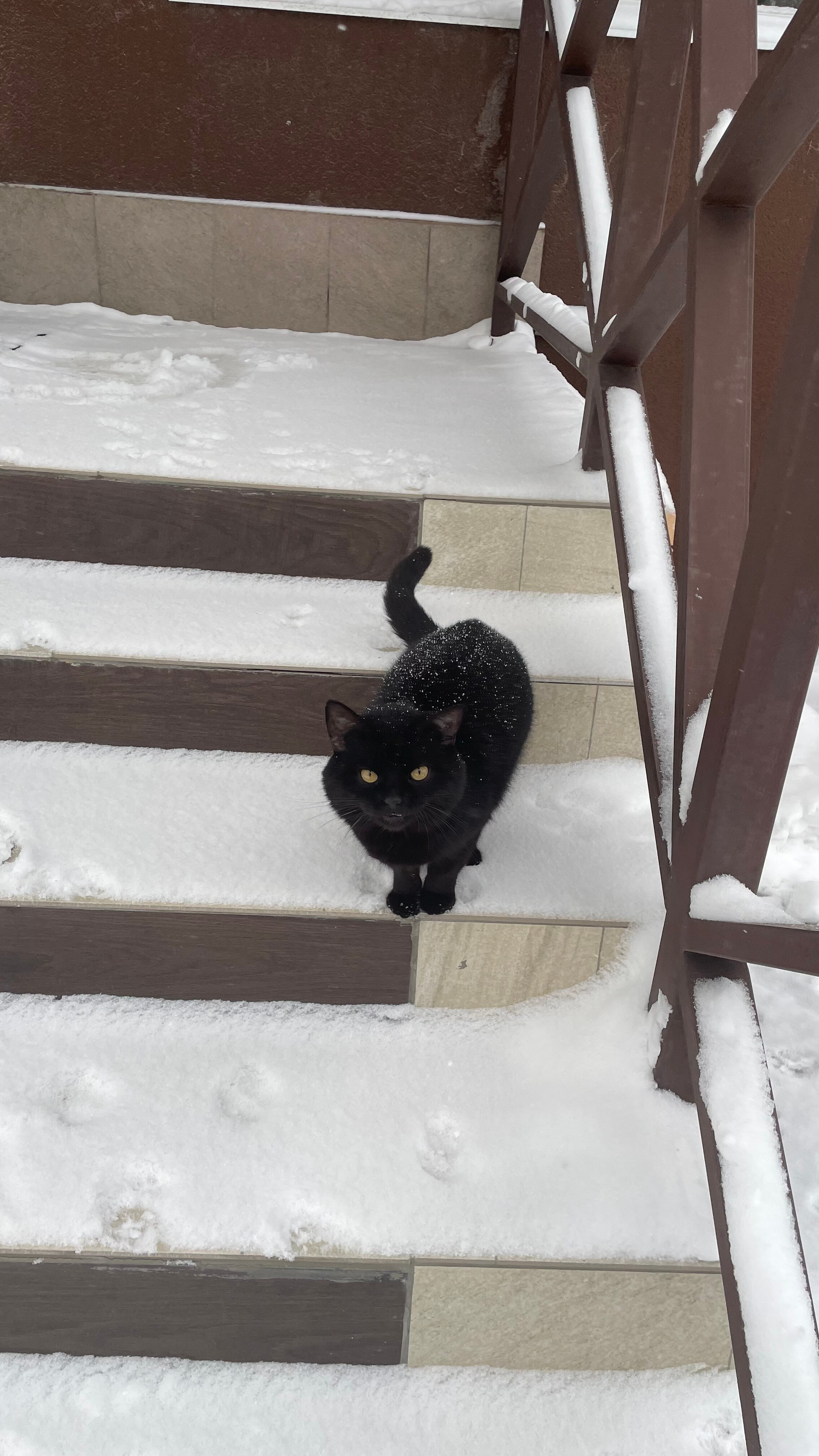 Фото Лондон