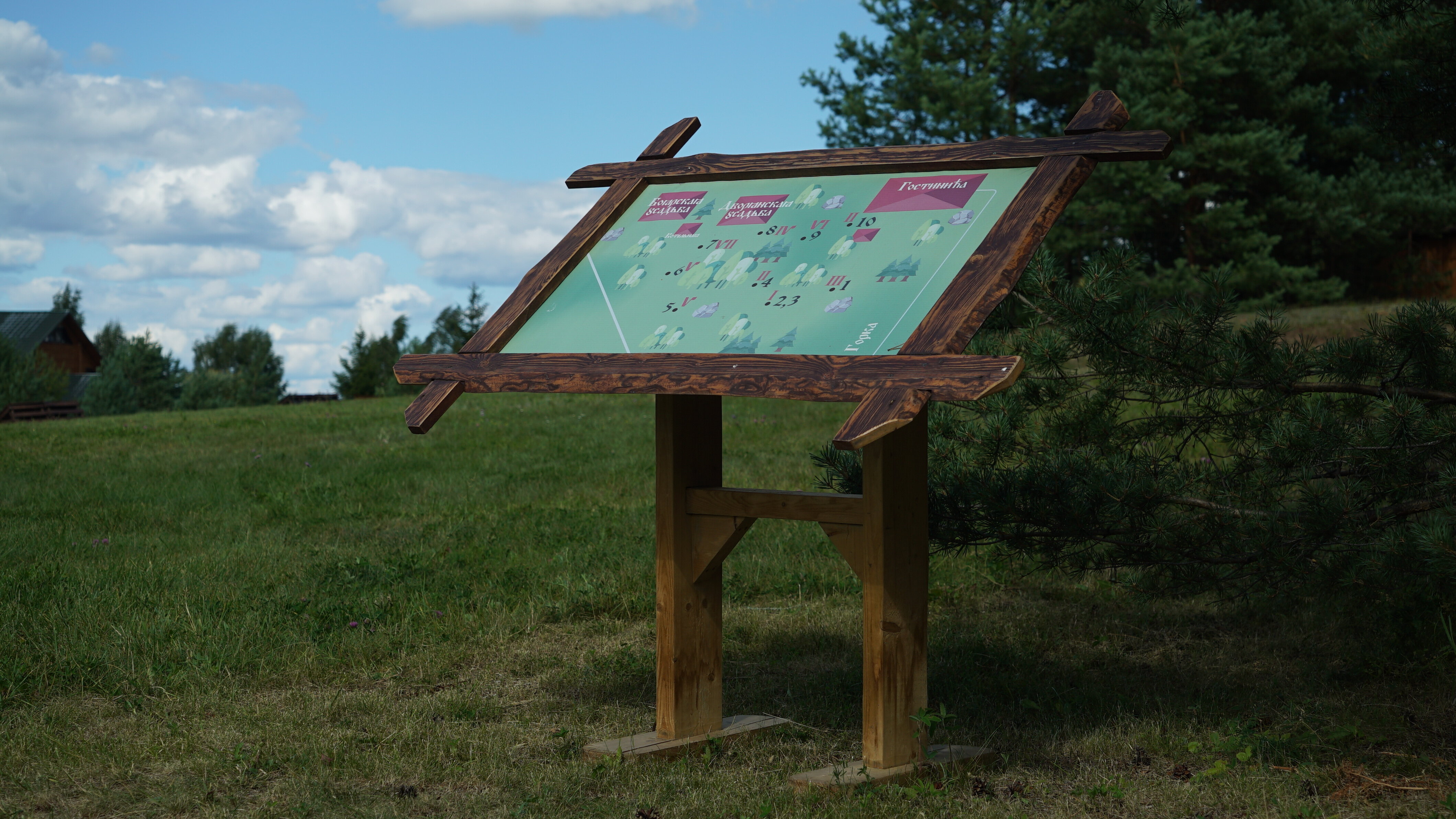 Фото Новый ковчег