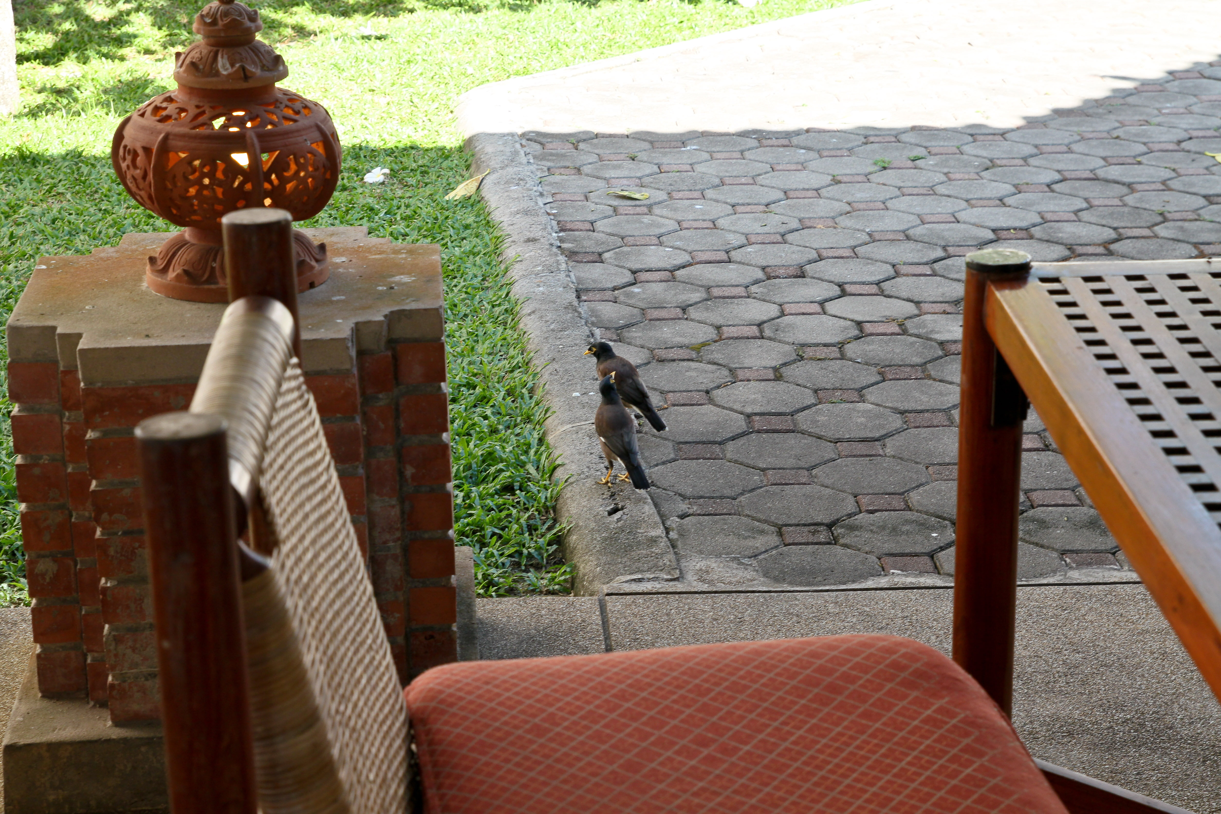 Фото Allamanda Laguna Phuket by Resava