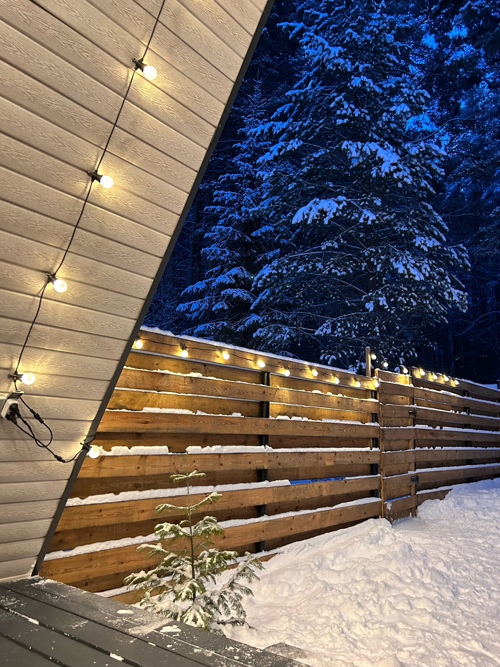 Фото Дом в лесу