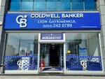 Coldwell Banker Lion Gayrimenkul (Mersin, Yenişehir, Hüseyin Okan Merzeci Blv., 586AB), real estate agency
