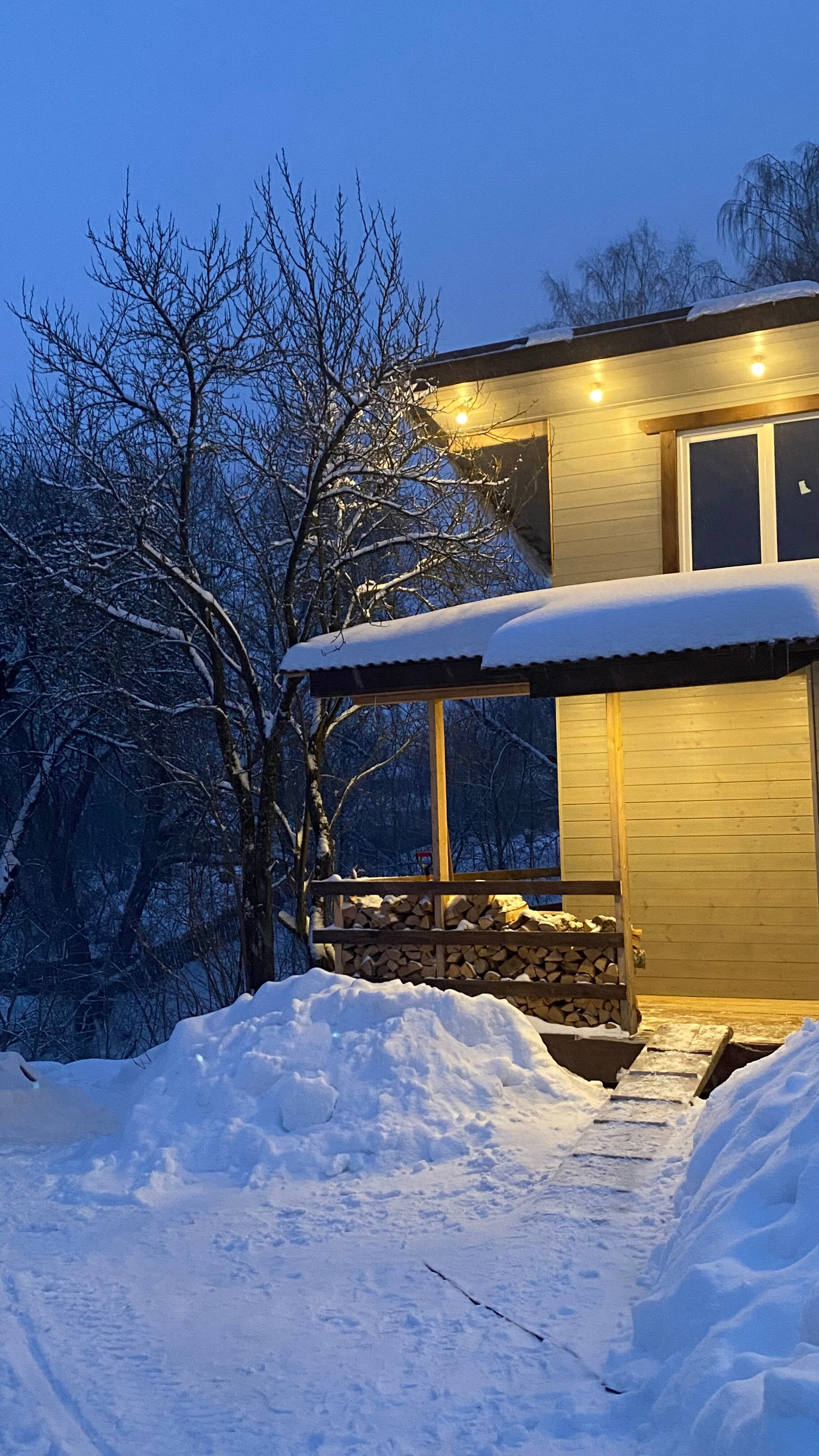 Фото Вилла Your Friends Tarusa