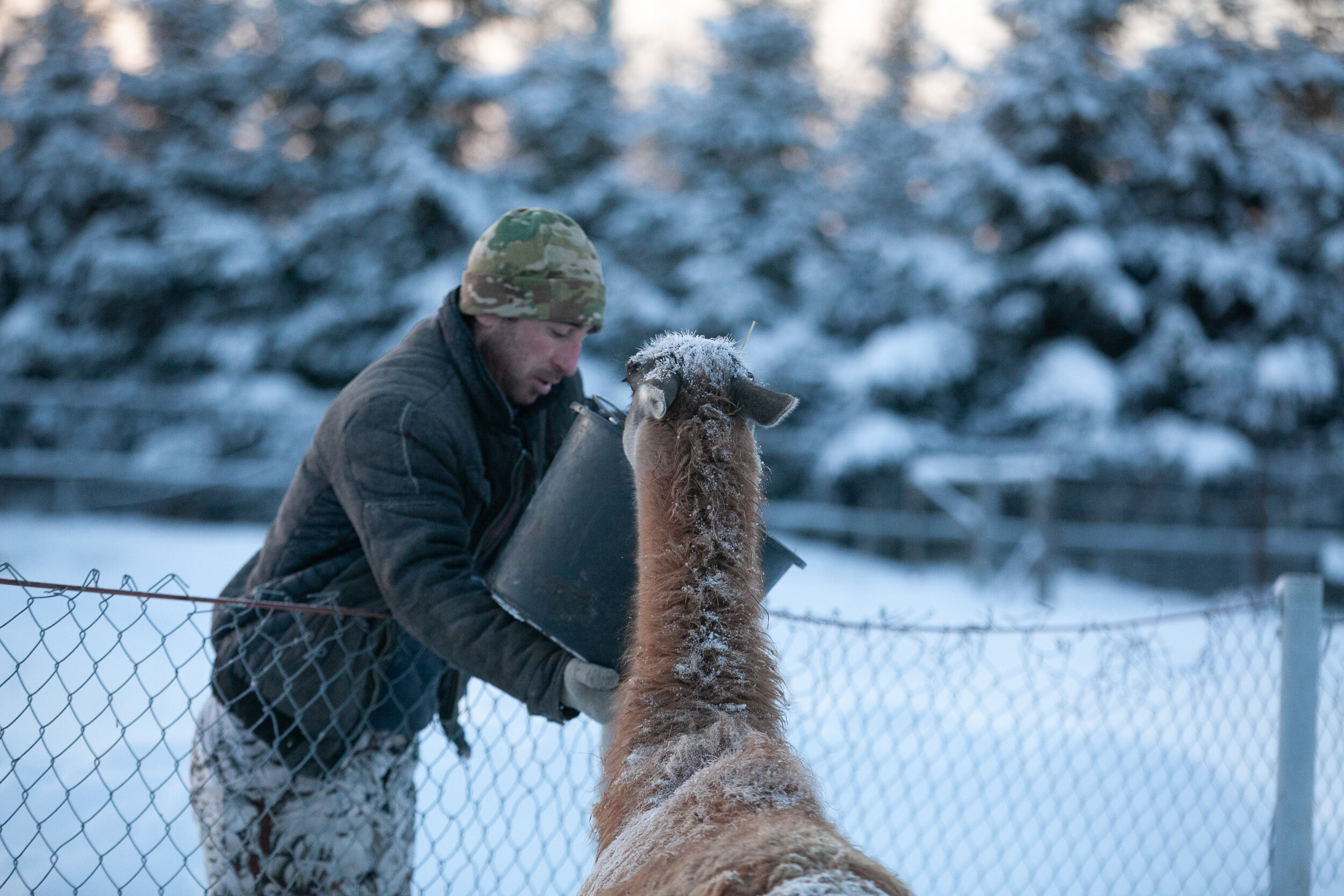 Фото Эль ранчо