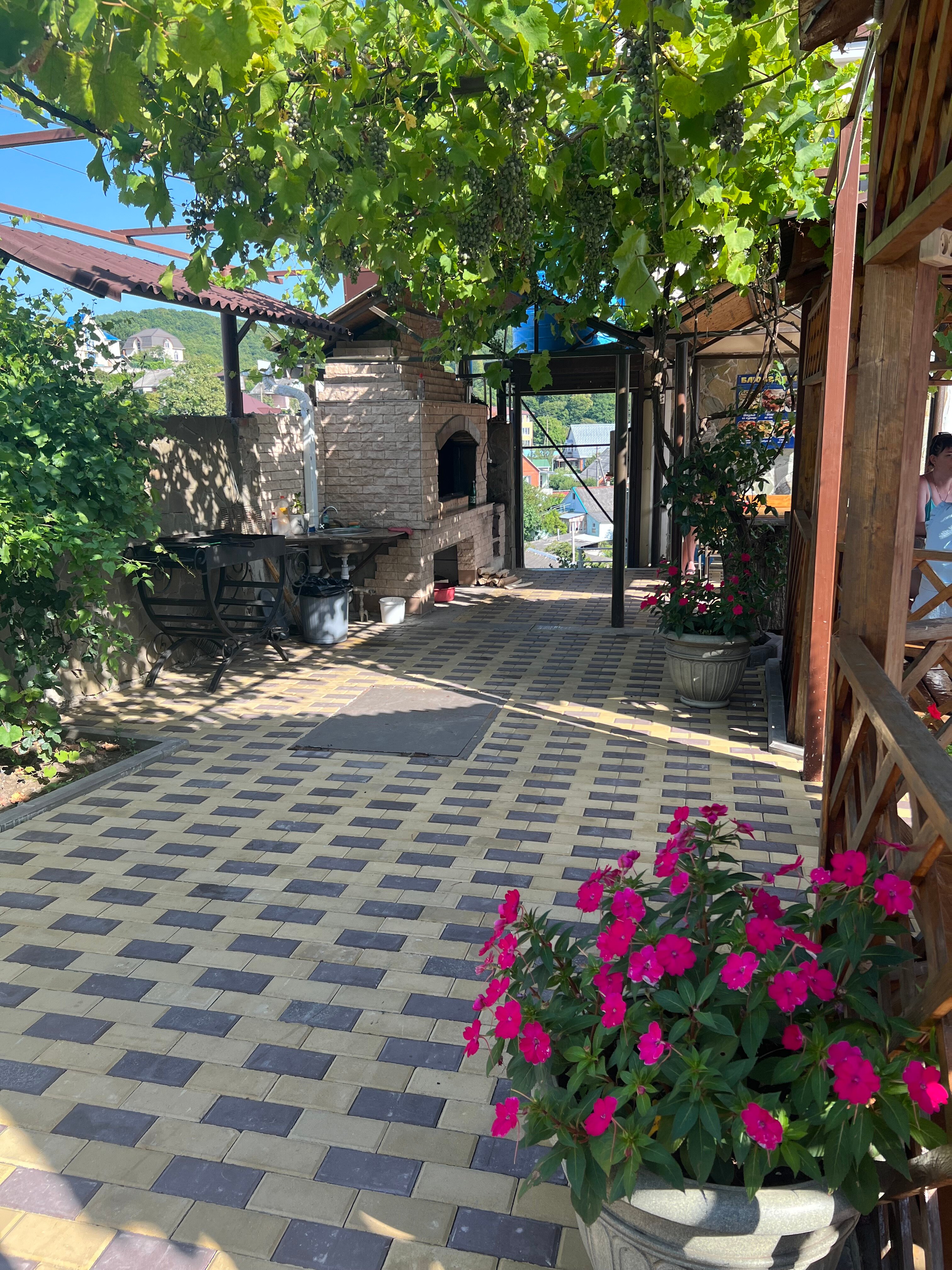 Фото Дельфин