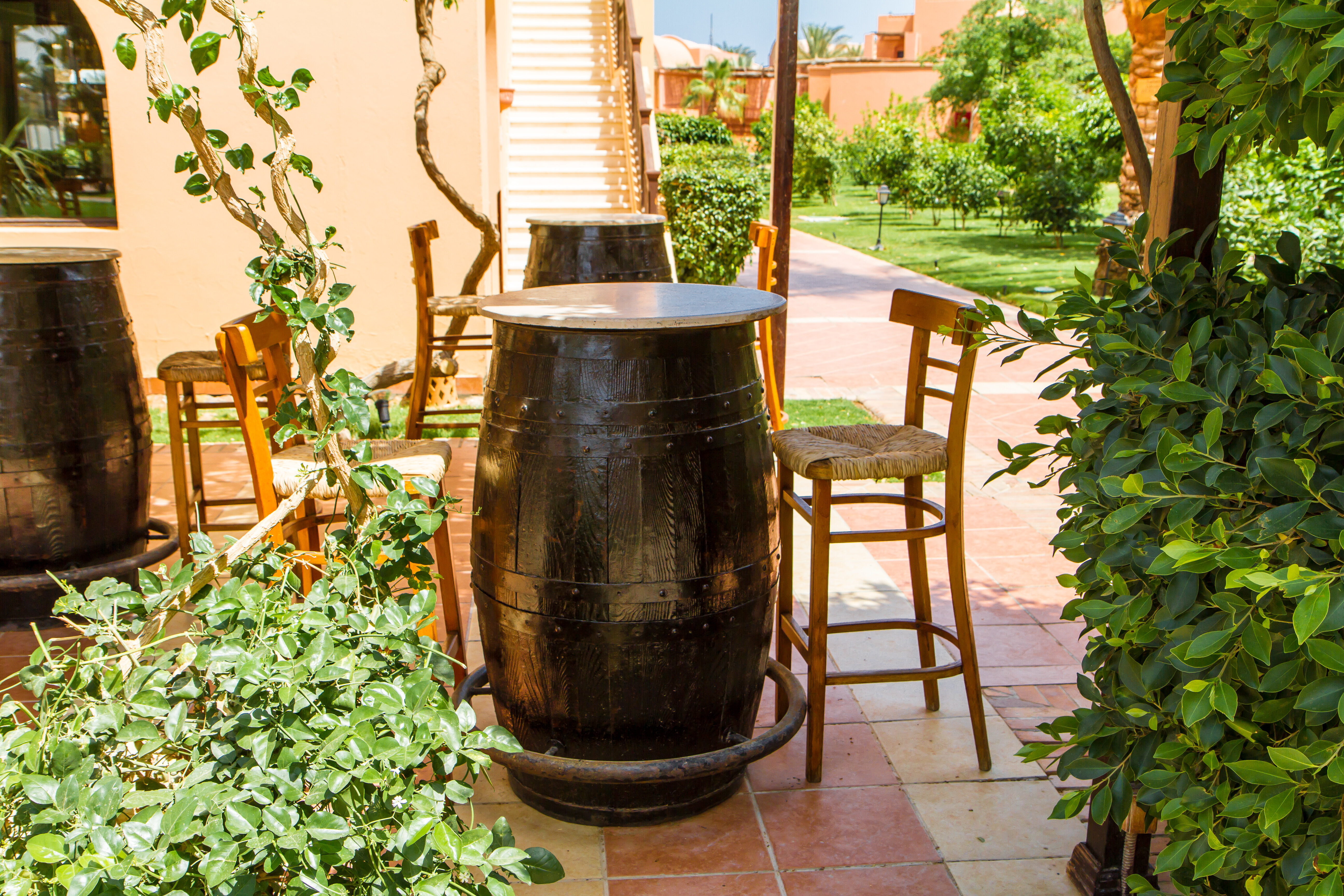 Фото Джаз Макади Сарайя Палмс