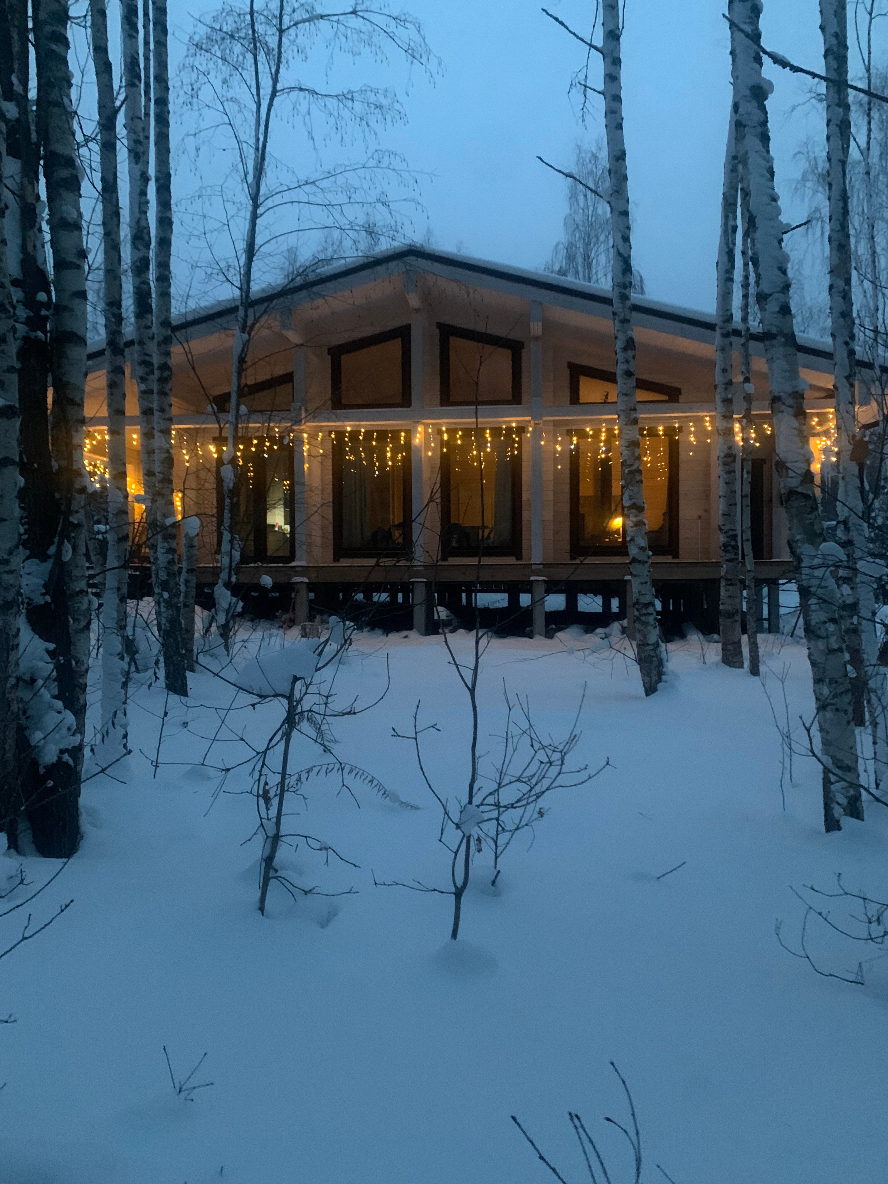 Фото Шале в лесу