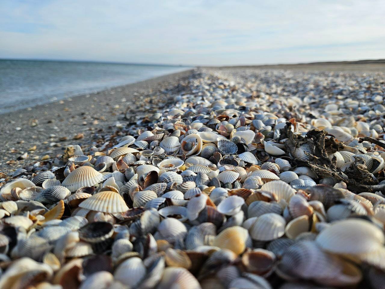 Фото Муссон