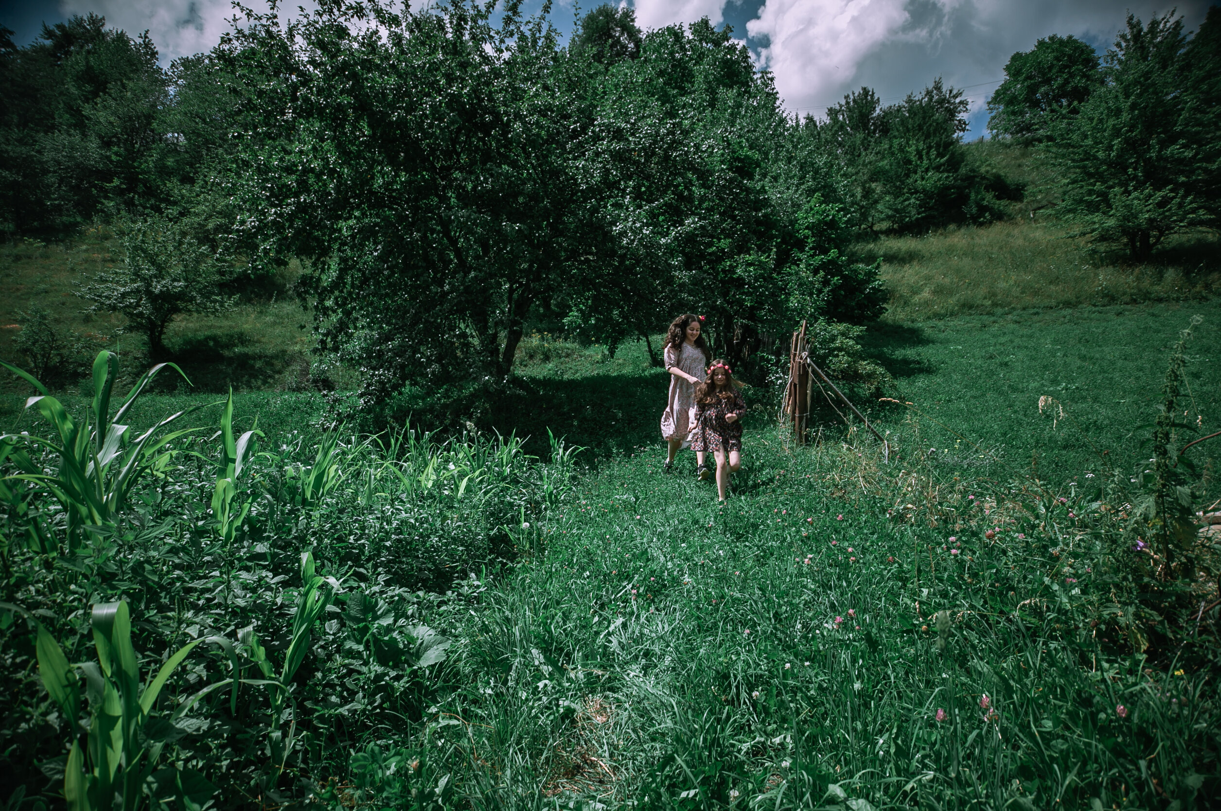 Фото Latour Mestia