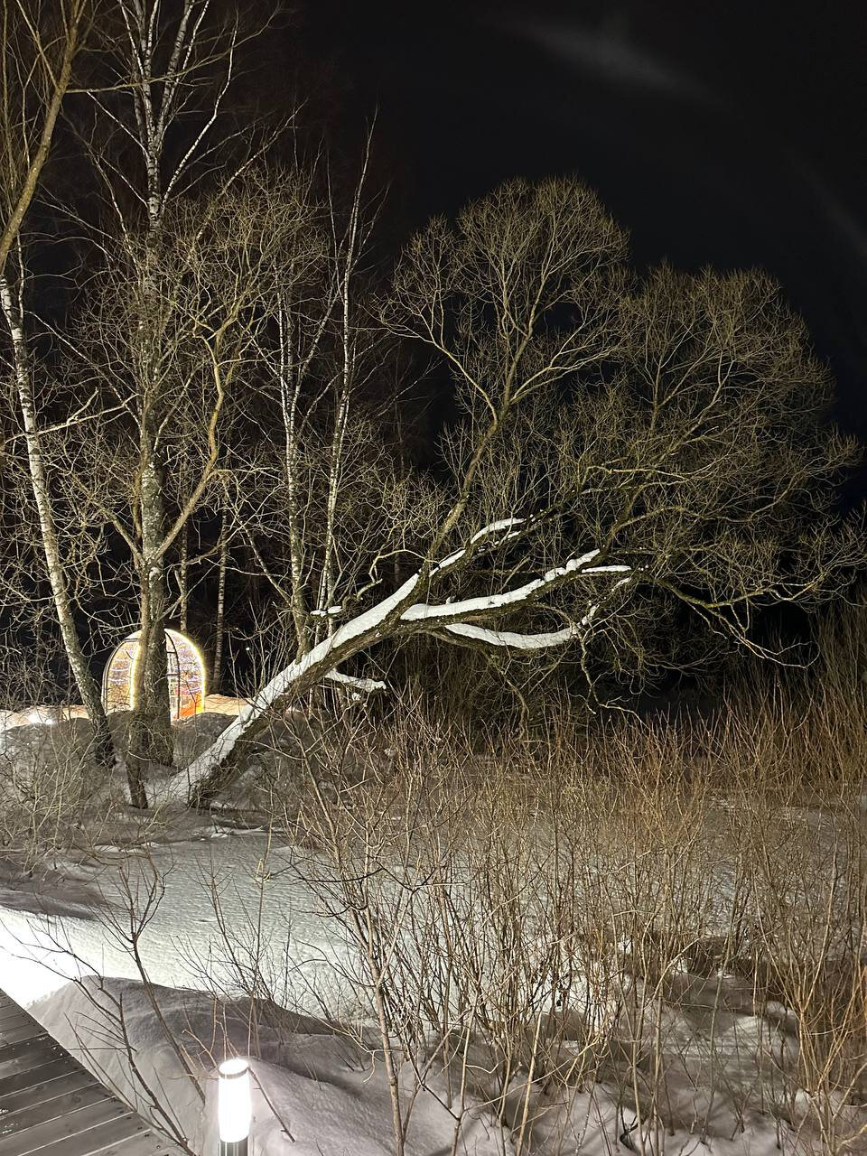 Фото Любимый в Любаново