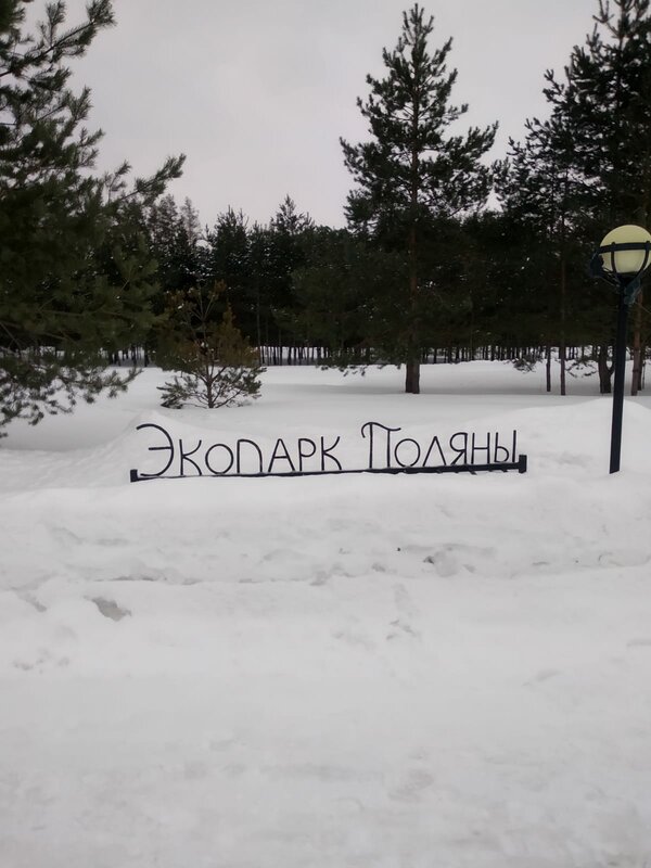 Экопарк Поляны — фото 18