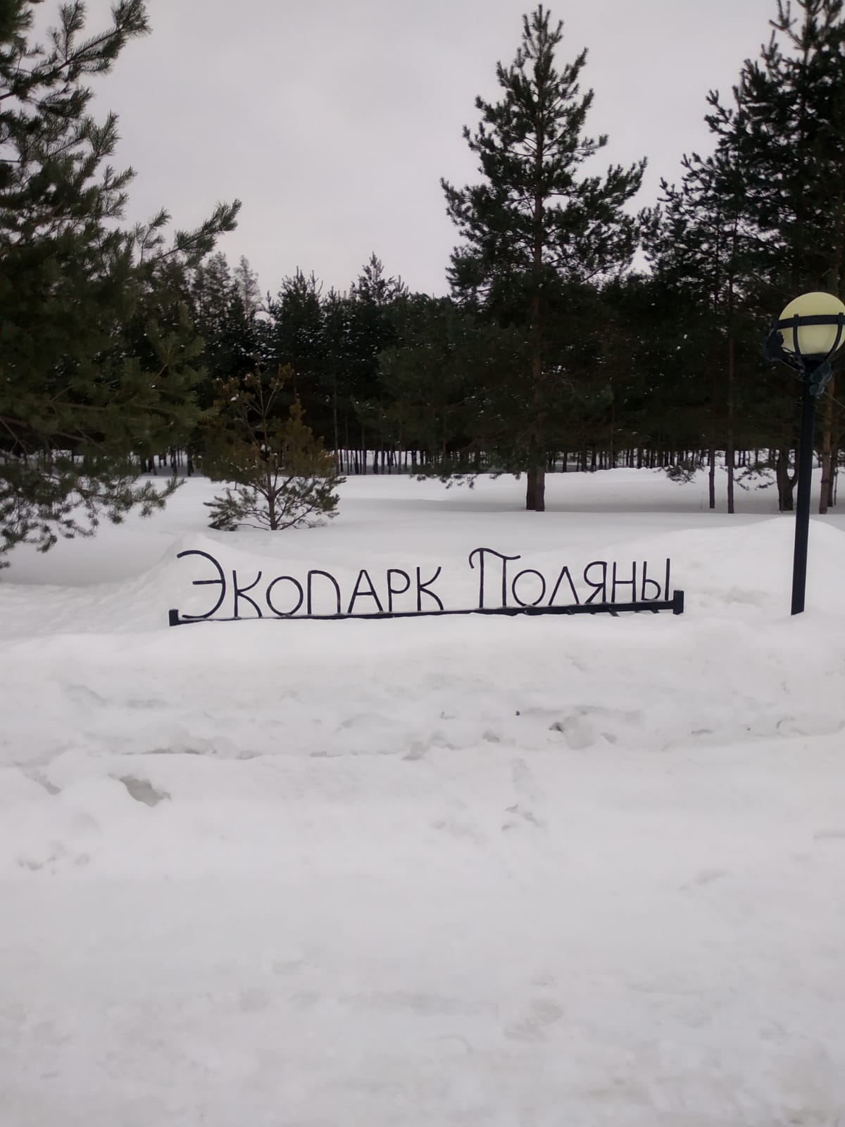 Фото Экопарк Поляны