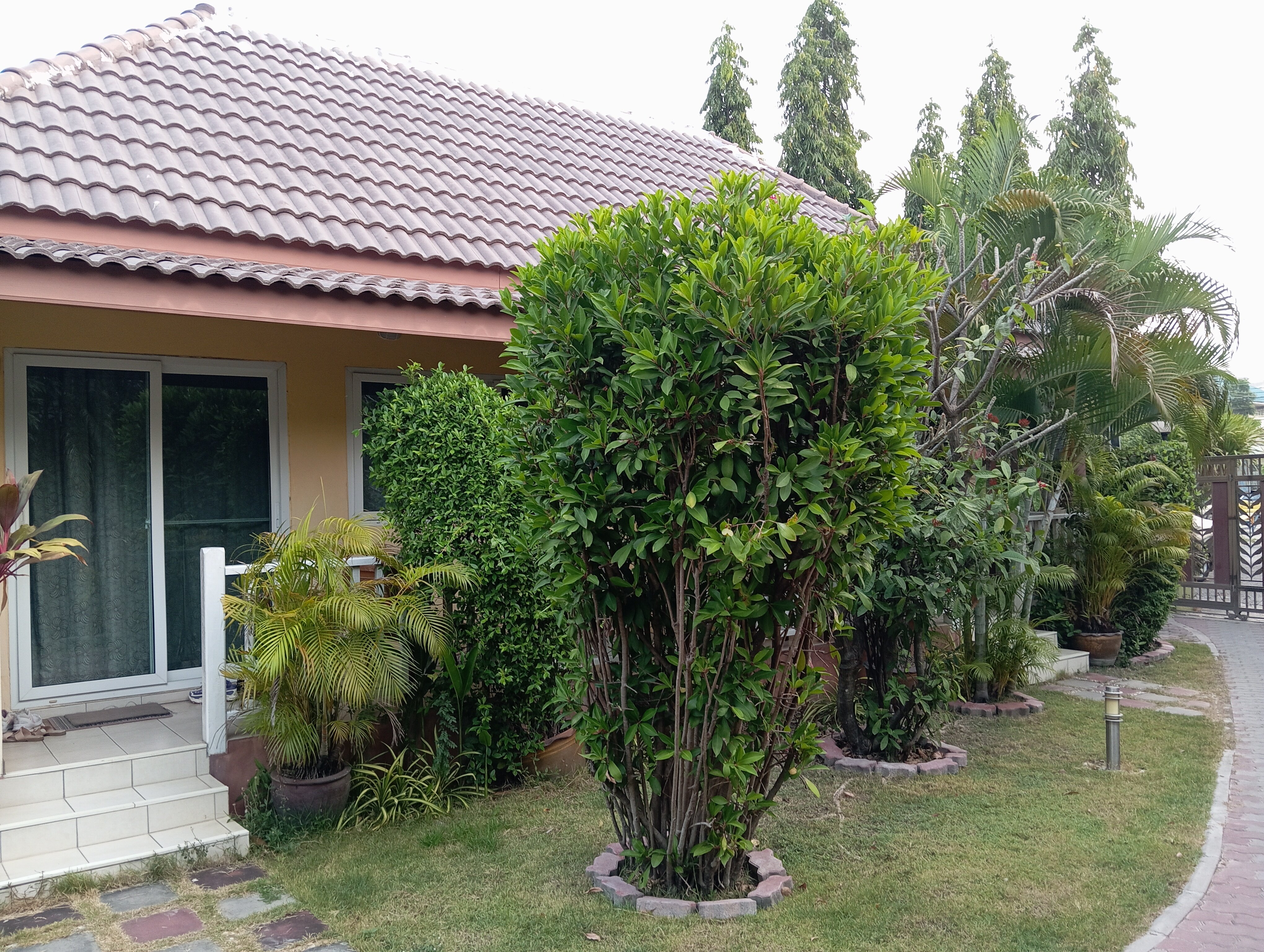 Фото Baan Penny