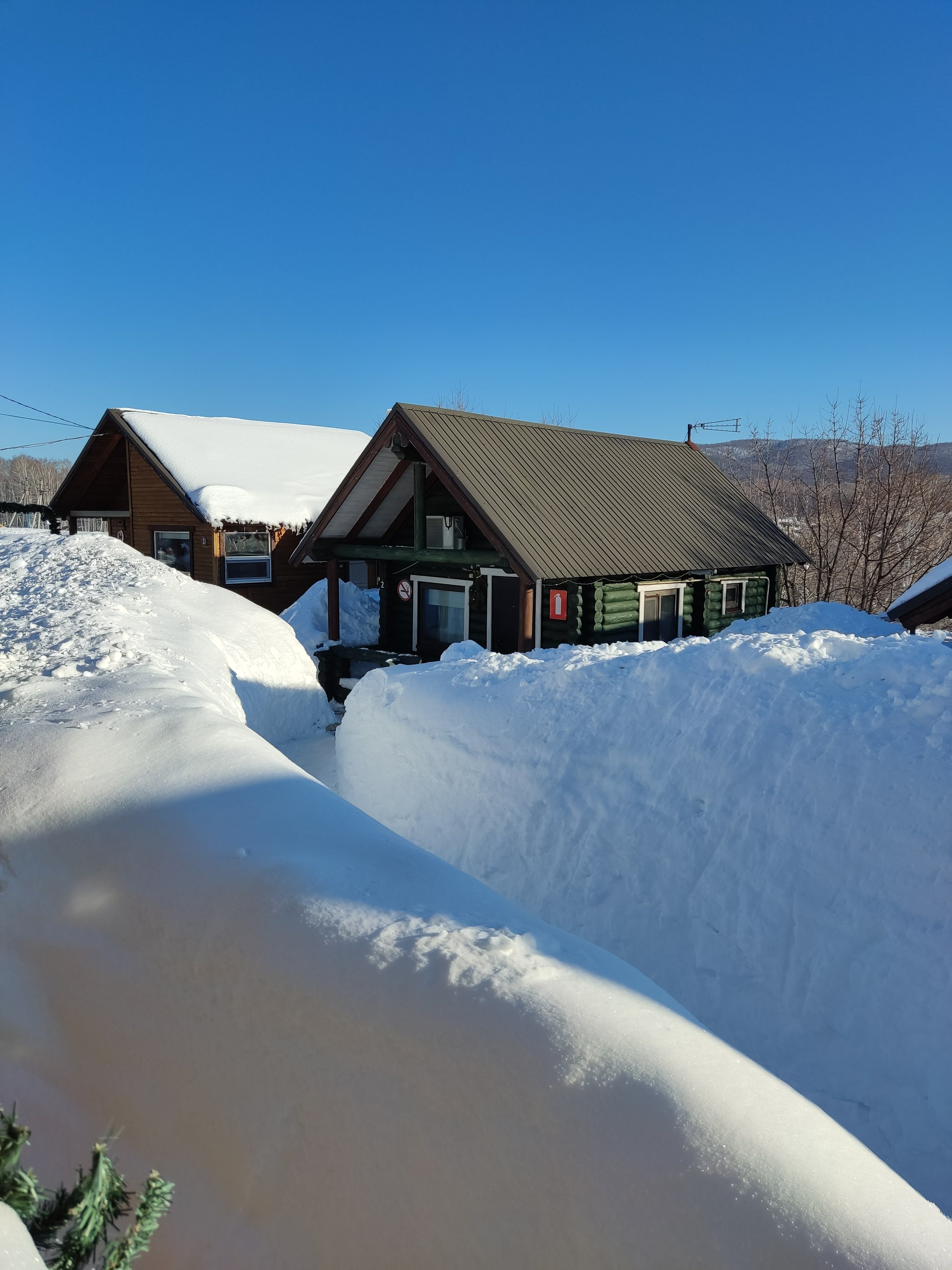Фото Лесная сказка