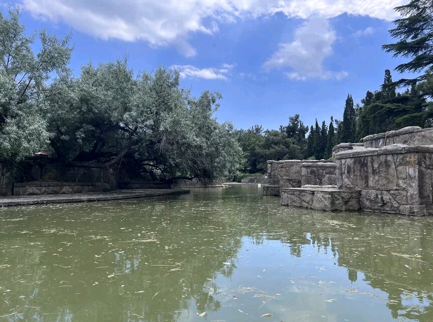 Фото ТОК Судак