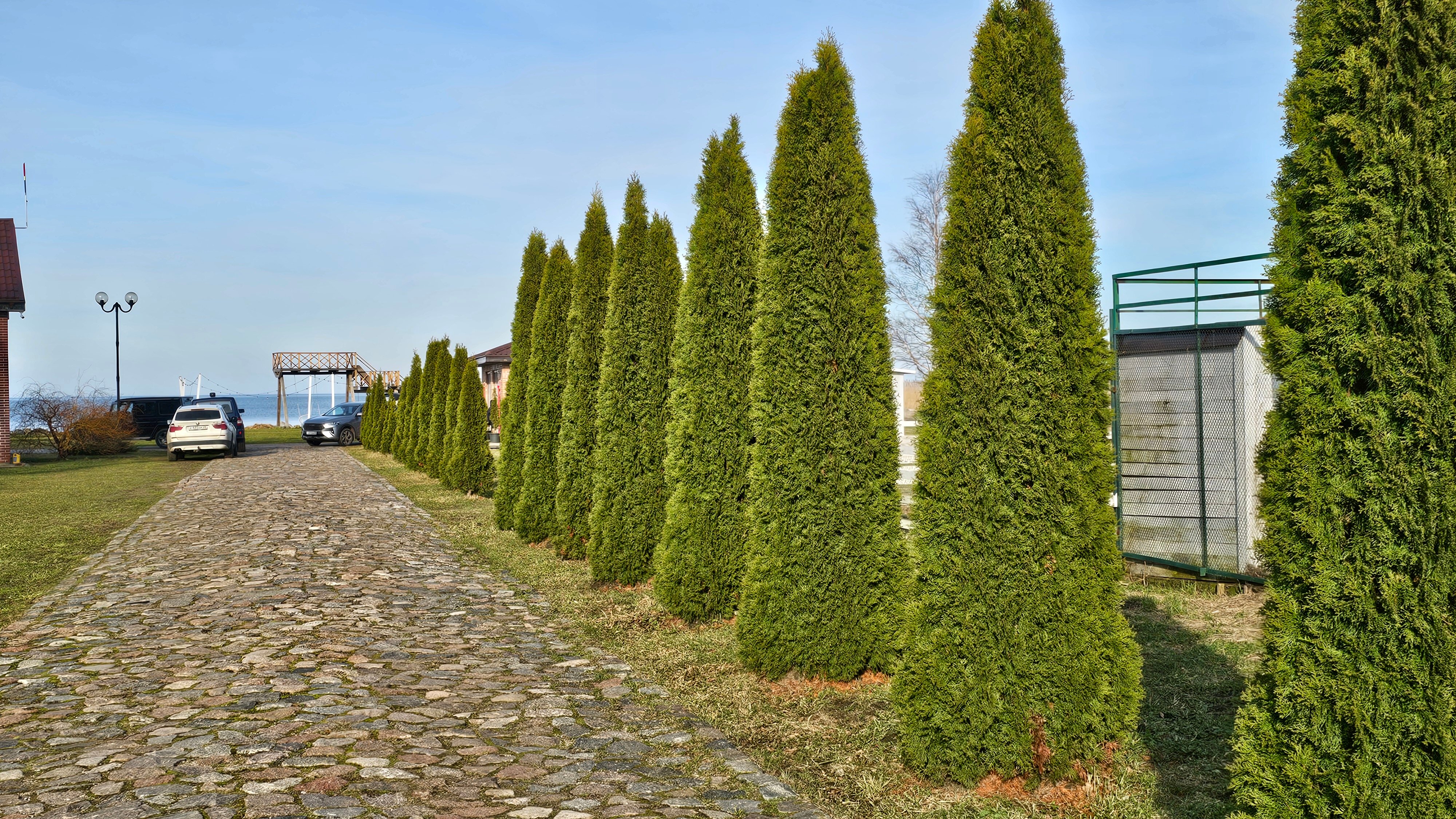 Фото Липовый Парк