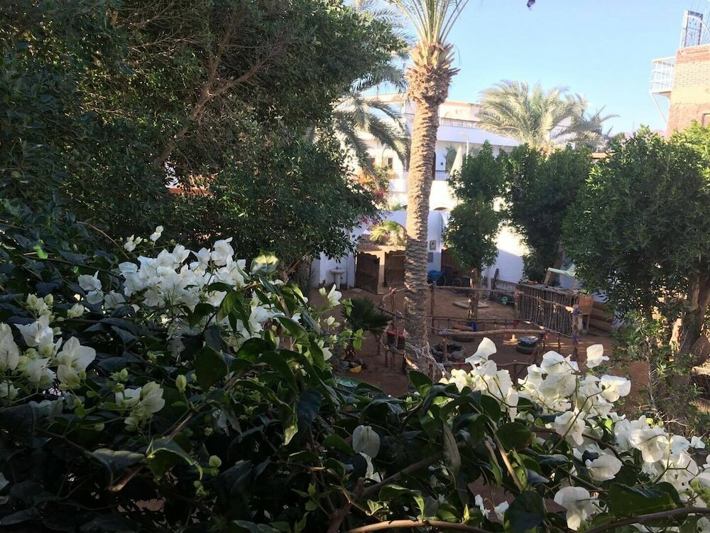 Фото Sunrise Dahab Camp