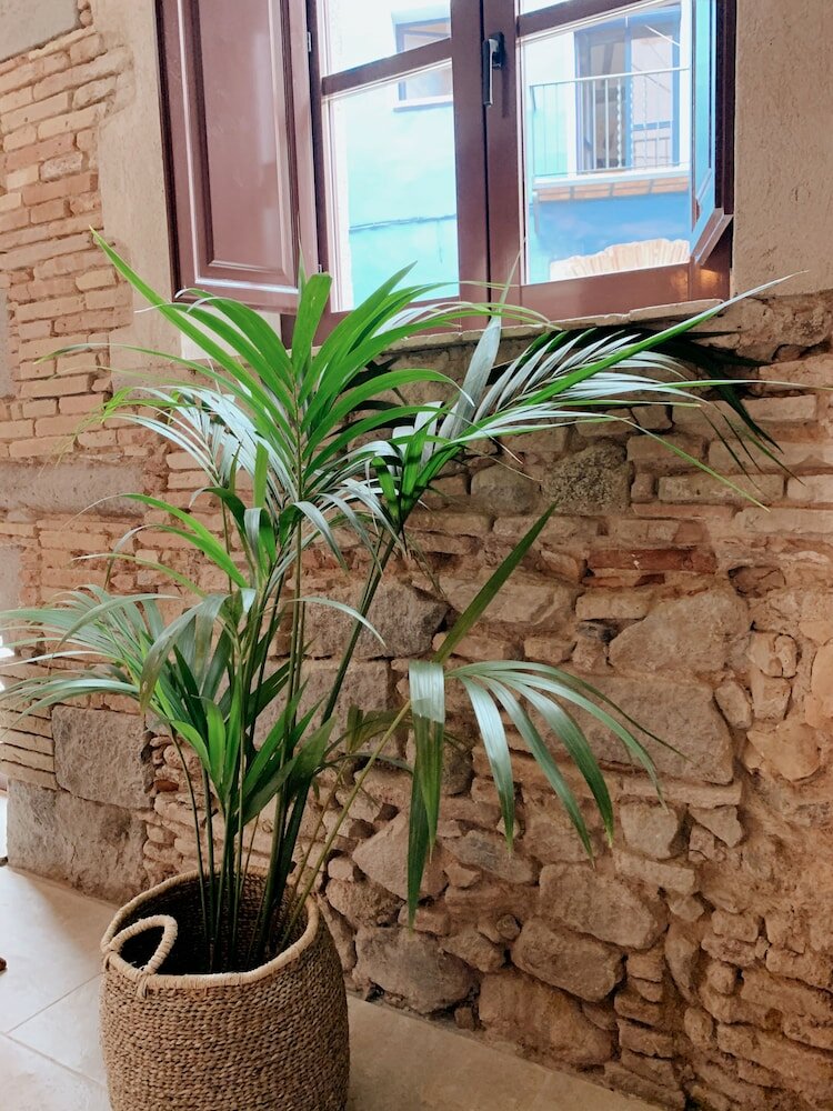 Фото Бутик-отель Palau Macelli