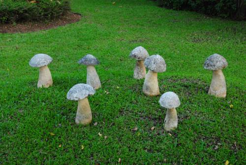 Фото Baan Chai Thung Resort