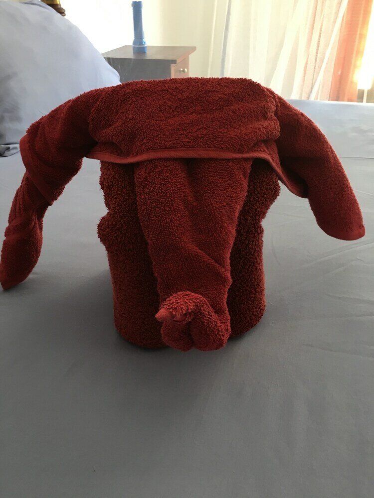 Фото Silence Garden