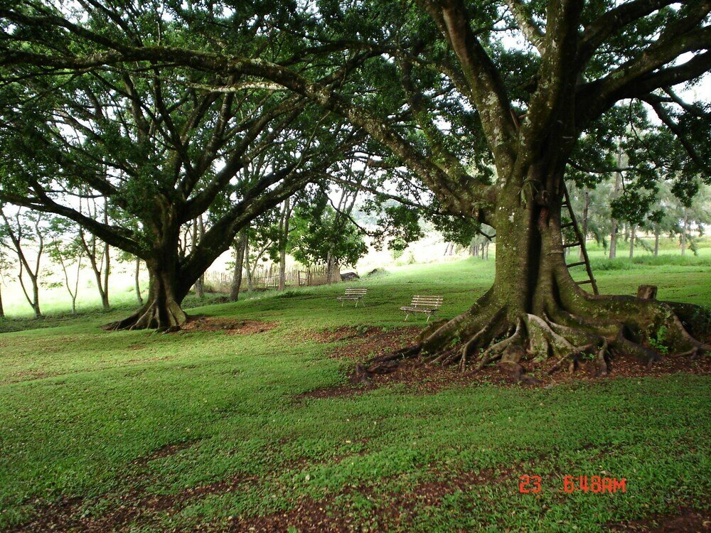 Фото Hotel Fazenda Vale Formoso