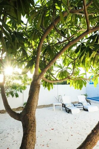 Гостиница Ocean Front Property - Villa 3 Aruba with Hot Tub