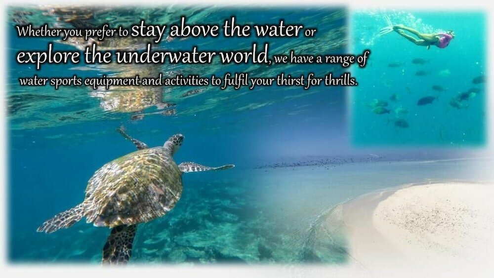 Фото Islandbreak