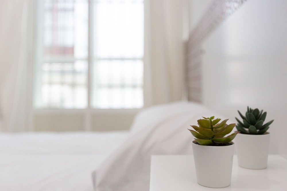 Фото Bohemia Sanlucar