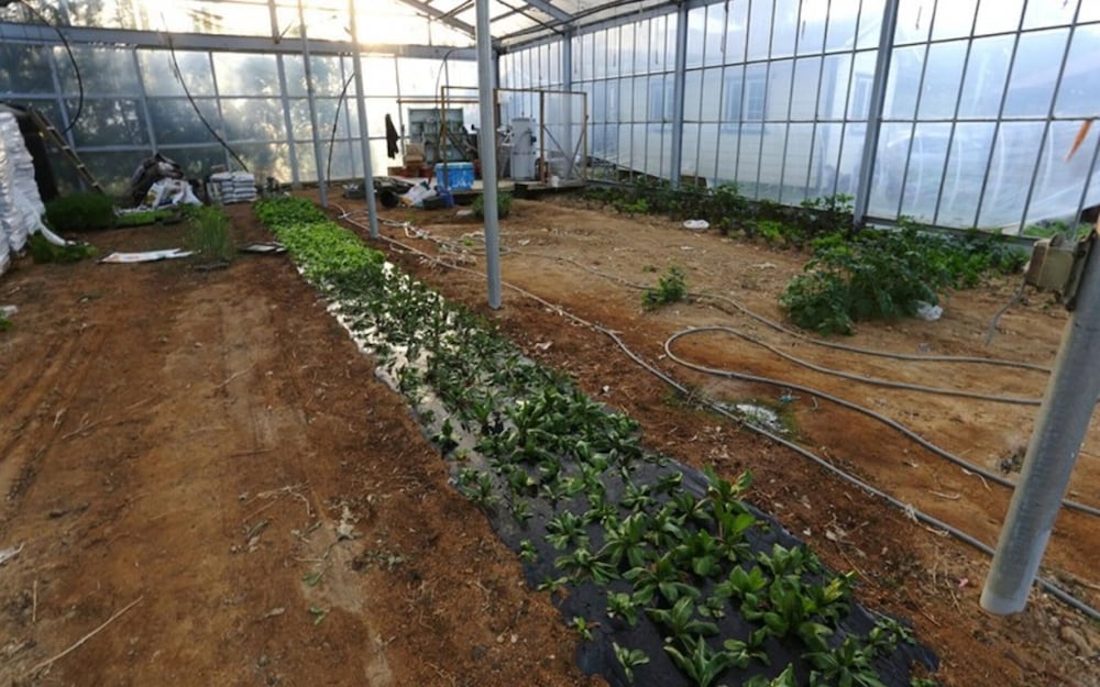 Фото Yangyang Seorak Badanamuro Pension