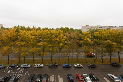 Две подушки фото 6