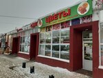 Tsvety (Moskovskoye Highway, 140Б), floristeria