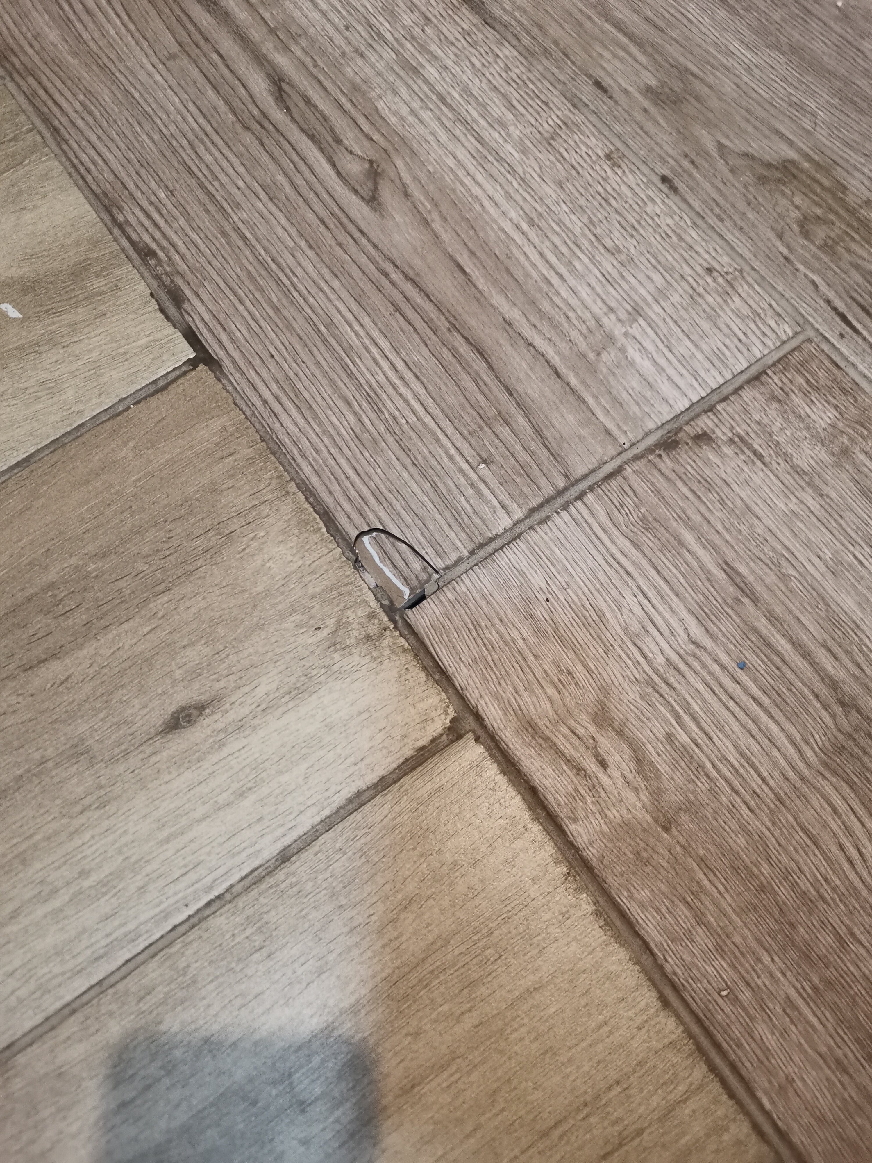 Фото Сила Сибири