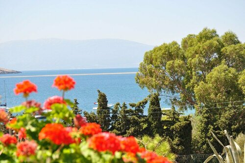 Гостиница Monk Island Guesthouse в Фоче