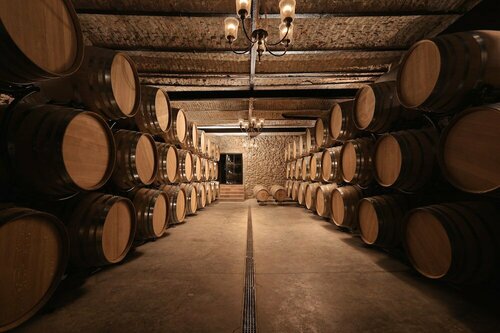 Внешний вид отеля Bononia Estate Winery & Resort в Кошаве, фото 3