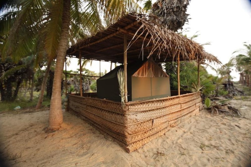 Фото Sun Burns Factory