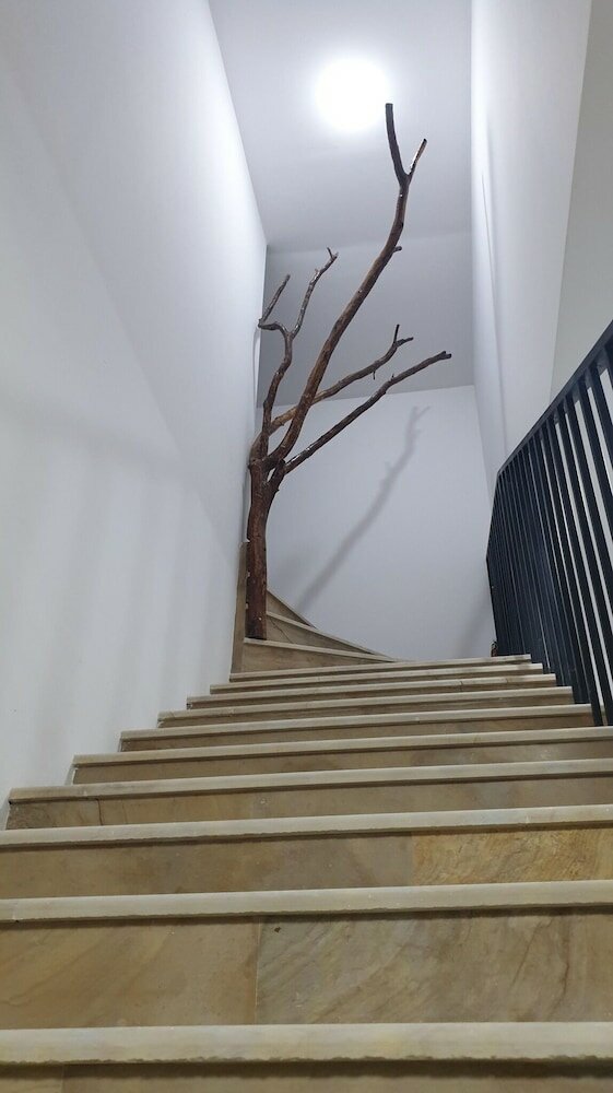 Фото Areni Lodge