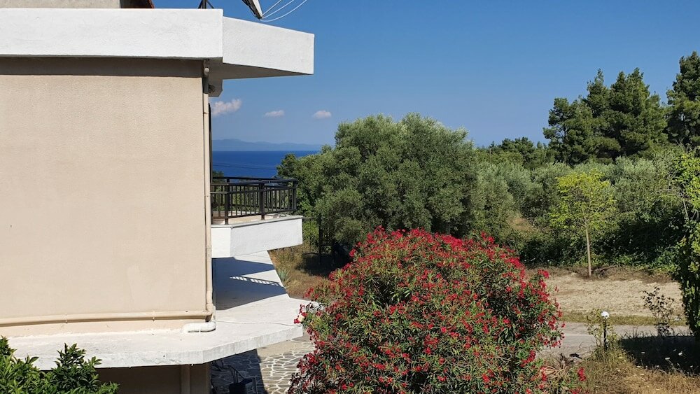 Фото Pashos Hotel