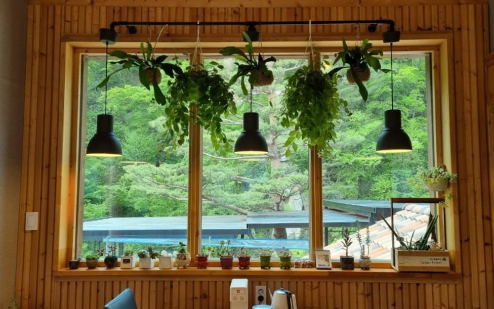 Фото Jeongseon Solmi Pension